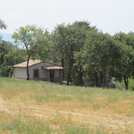 Holiday Home Il Podere Del Lago By Interhome Болсена Екстериор снимка